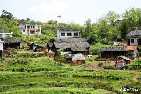 母親最後的話——我的求職之路（29）