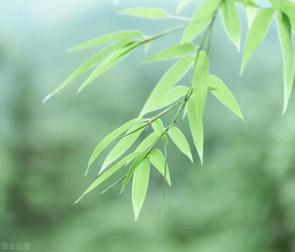 微信更新以後「摺疊置頂功能」怎麼取消