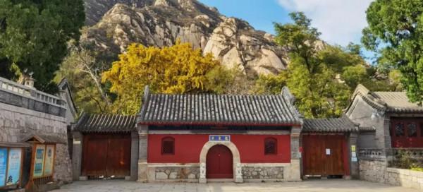 鳳凰嶺彩葉進入最佳觀賞期