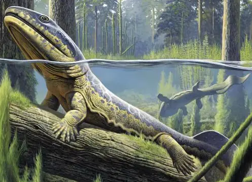 進化論是謊言？寒武紀生命大爆發，證明人類是上帝創造的？