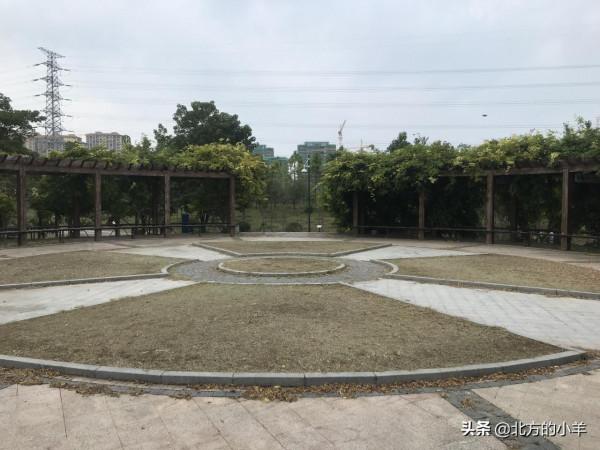 看祖國好風光：泗陽城市生態客廳