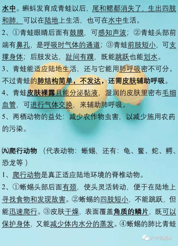 八年級生物上:全冊知識點總結,考點速記,建議為孩子收藏了 八年級生物上:全冊知識點總結,考點速記,建議為孩子收藏了