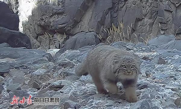 202“憶”② | 這些不期而遇，有靈且美！