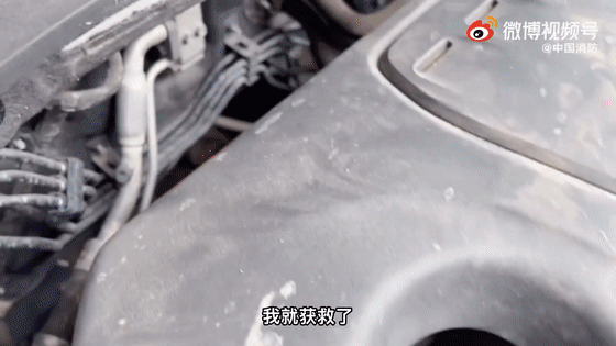 貓咪賴上兵哥哥？這畫面，糖分超標了吧