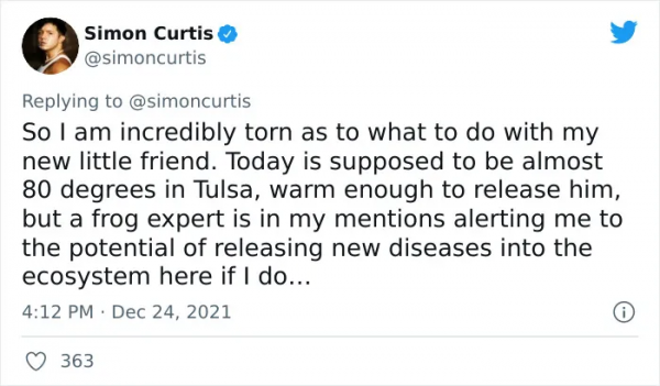 小哥在沙拉里發現了一隻小青蛙後，在網上直播起了養蛙生活