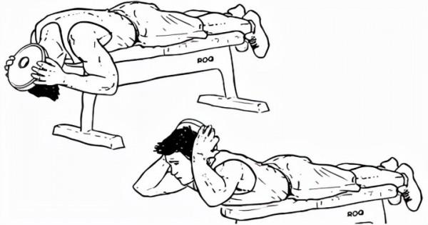 WildFieldHealth|怎樣鍛鍊頸部肌肉？