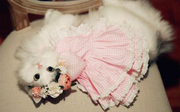 其實他們沒有“選擇困難症”,只是害怕承擔責任的3大星座 其實他們沒有“選擇困難症”,只是害怕承擔責任的3大星座