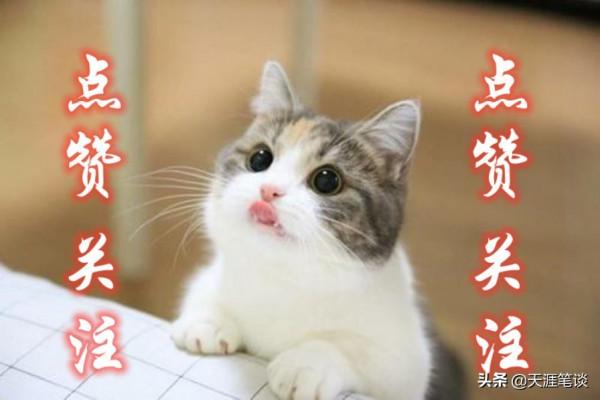 回首往事知多少，翻天覆地慨而慷，2021東北自駕總結