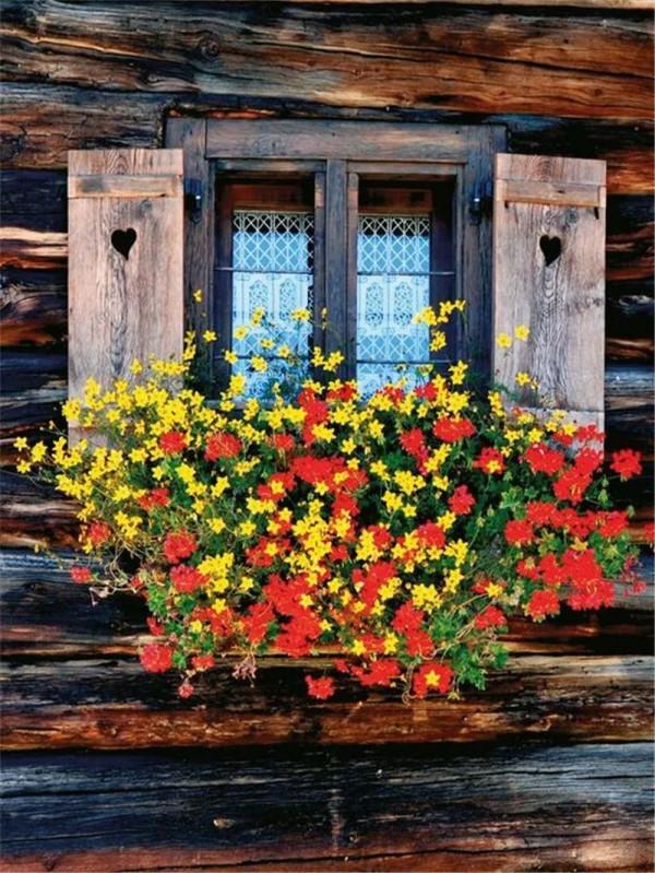 花園式窗臺，美得不像話，趕緊收藏起來