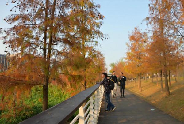 好山好水好人好風景