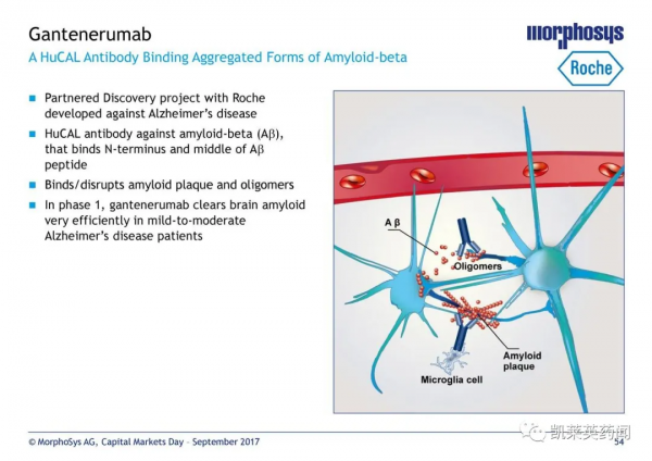 羅氏:首個皮下給藥Aβ單抗獲FDA突破性療法認定 羅氏:首個皮下給藥Aβ單抗獲FDA突破性療法認定