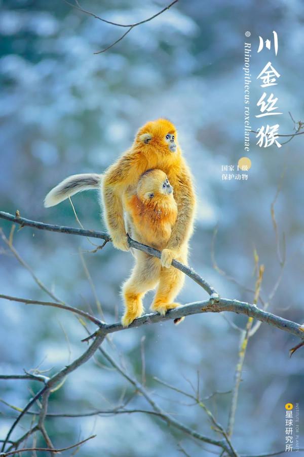 出發！看中國五大國家公園