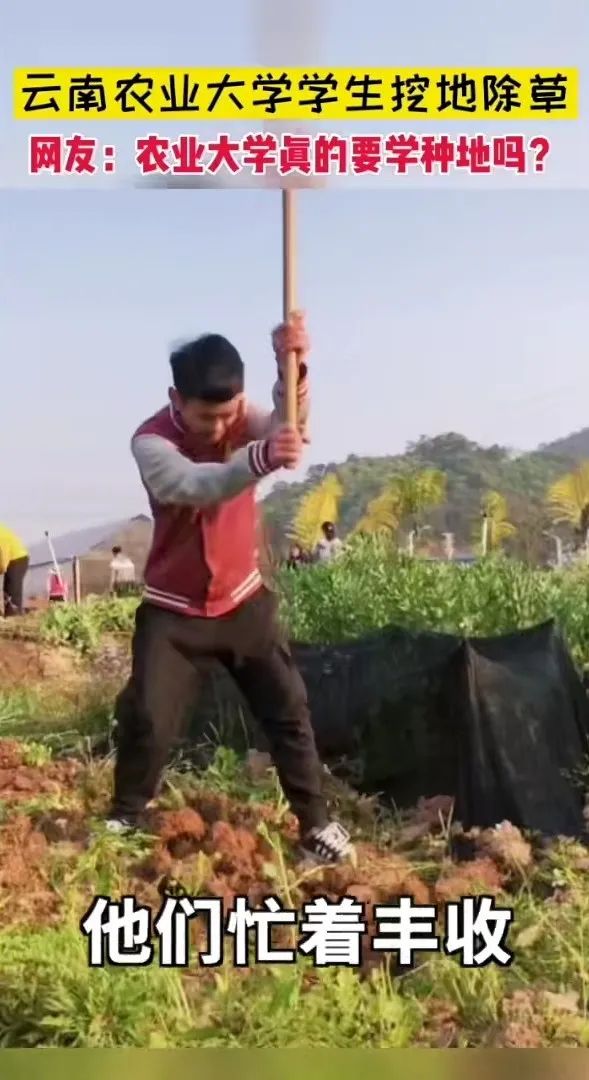 農業大學有多神奇?你可能一無所知…… 農業大學有多神奇?你可能一無所知……