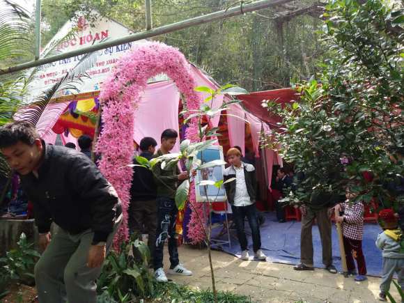 我在越南的真實經歷之參加越南農村婚禮(上) 我在越南的真實經歷之參加越南農村婚禮(上)