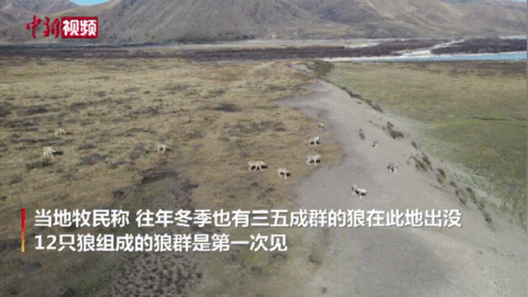 這輩子一定要去趟這個公園 在這裡“有種愛叫放手” 這輩子一定要去趟這個公園 在這裡“有種愛叫放手”