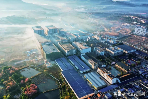 財經大佬準備玩大資料，大益茶市要不要跟進？