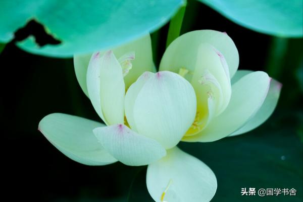 《莊子》：人生常為者未必有為，無為者反而大為