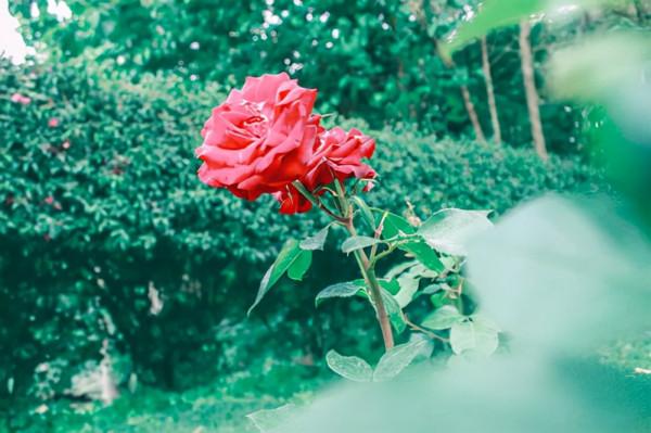 當你一個人熬過所有的苦