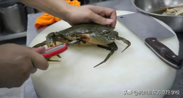 九道酒樓口碑菜品，時令應季，特別實用