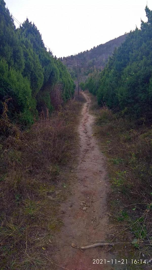 再訪漢文帝霸陵