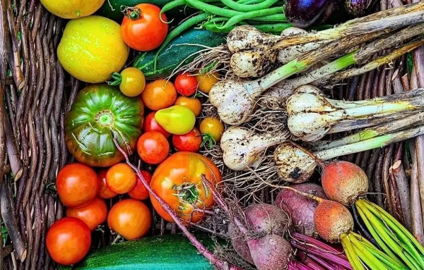 紅色旅遊還能這麼玩？這波操作我給滿分