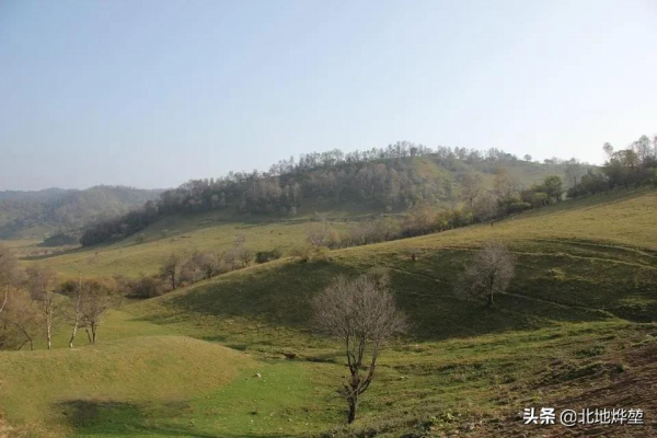 分享一組關山牧場的原生態秋景 分享一組關山牧場的原生態秋景