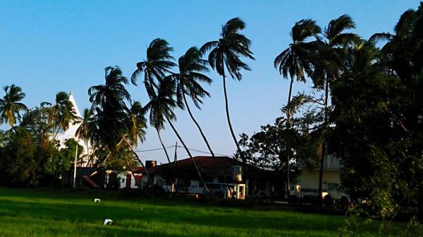 斯里蘭卡之旅(17)蒂瑟默哈拉默 斯里蘭卡之旅(17)蒂瑟默哈拉默