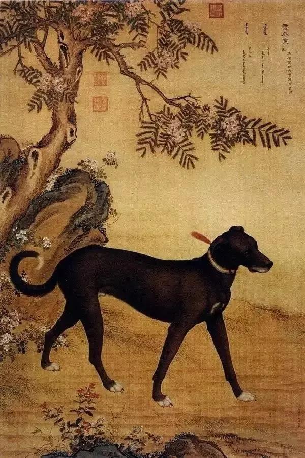 民間故事:義犬旺財 民間故事:義犬旺財