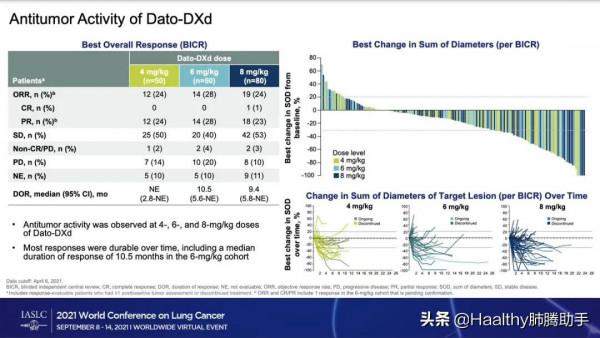 ADC藥物顯神通!打擊面廣、還抗耐藥,後線治療療效確切 ADC藥物顯神通!打擊面廣、還抗耐藥,後線治療療效確切
