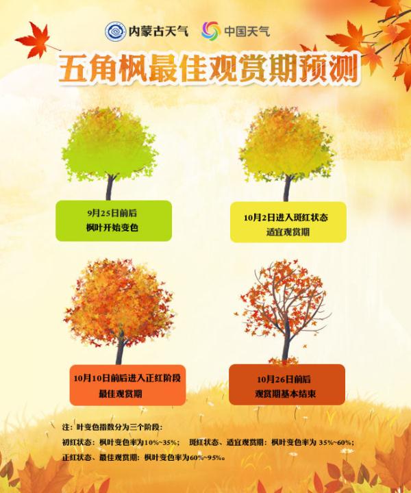 內蒙古烏旦塔拉:“楓”光無限好 賞“葉”正當時 內蒙古烏旦塔拉:“楓”光無限好 賞“葉”正當時