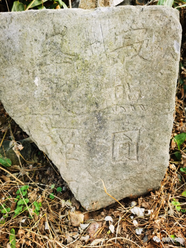 方城維摩寺︱一個被名人光環照亮了千餘年的小山村