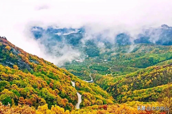 秋意濃,房山紅 !這鄉鎮三處迷人秋景齊亮相! 秋意濃,房山紅 !這鄉鎮三處迷人秋景齊亮相!