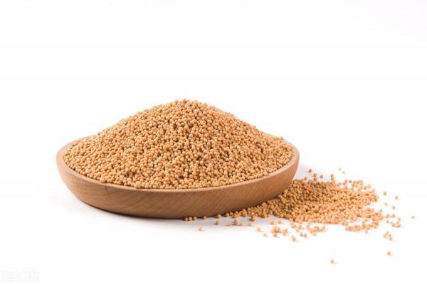 四肢麻木、渾身疼痛？七味藥，大補肝腎、溫陽通脈、舒筋活絡