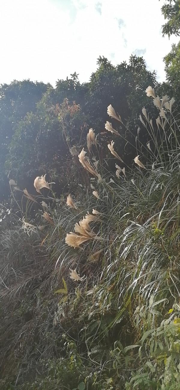 雲彩下的山城系列（九）