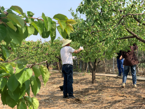 房山一地藏有25億年前地球變化的奧秘！一文讀懂這裡的傳奇之處