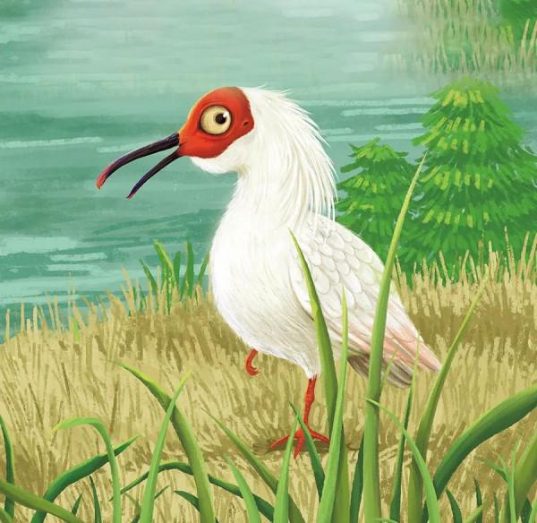 人與自然和諧共生教育:朱䴉(上) 人與自然和諧共生教育:朱䴉(上)