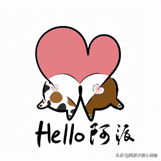 永樂 :它被開水燙、驅趕、毆打時,主人就在身邊 永樂 :它被開水燙、驅趕、毆打時,主人就在身邊