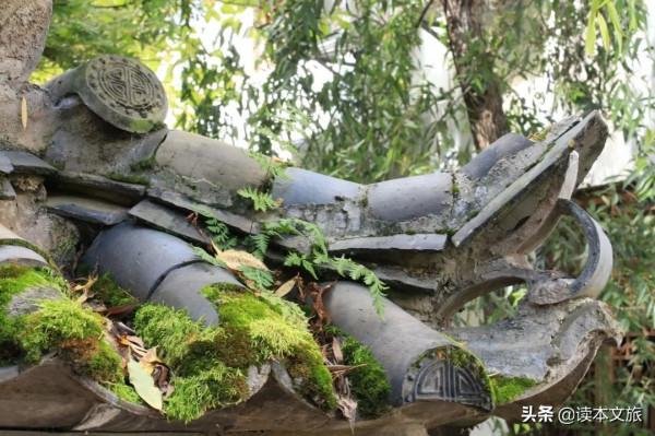 一個束河人的自白