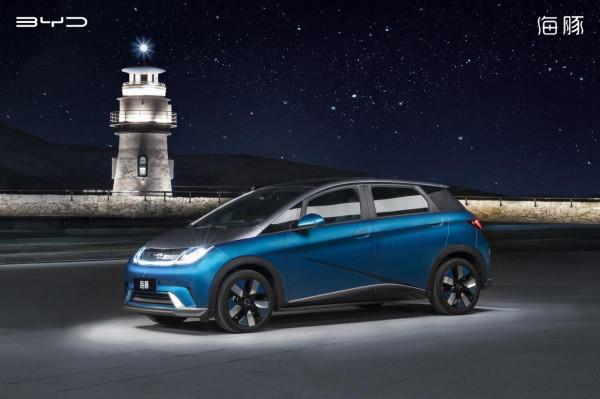 與海豚一起邂逅光影繁華