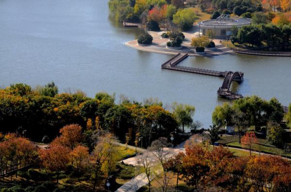 小雪日是誰打翻了大自然的調色盤讓張公湖初冬如此動人