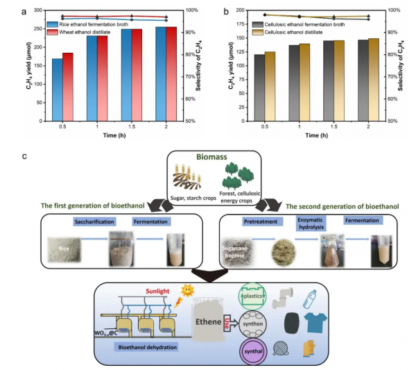 葉立群/馬天翼AFM：整合全光譜太陽能催化生物乙醇零排放生產乙烯