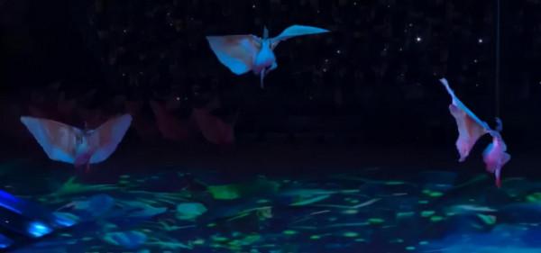 全運會開幕式看點多,張嘉益全紅嬋引發熱議,朱䴉舞也太驚豔了 全運會開幕式看點多,張嘉益全紅嬋引發熱議,朱䴉舞也太驚豔了