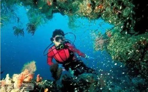 海底10000米有多麼恐怖？膽子大的潛水員看到海底的情景都害怕
