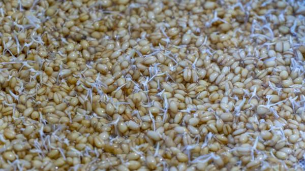 我家從來不買零食，6種自制小零食，沒有烤箱也能做，越嚼越香