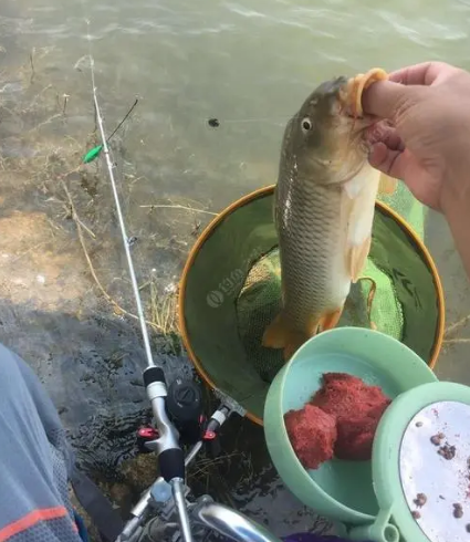 “瘋狂”釣魚人!14米魚竿算短竿 玩長竿大炮還不如滑漂掉的遠 “瘋狂”釣魚人!14米魚竿算短竿 玩長竿大炮還不如滑漂掉的遠