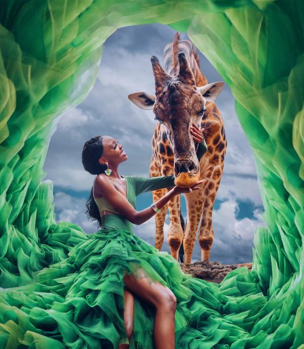 我在肯亞唯一的夢想是看火烈鳥，但我看到的一切都無法形容