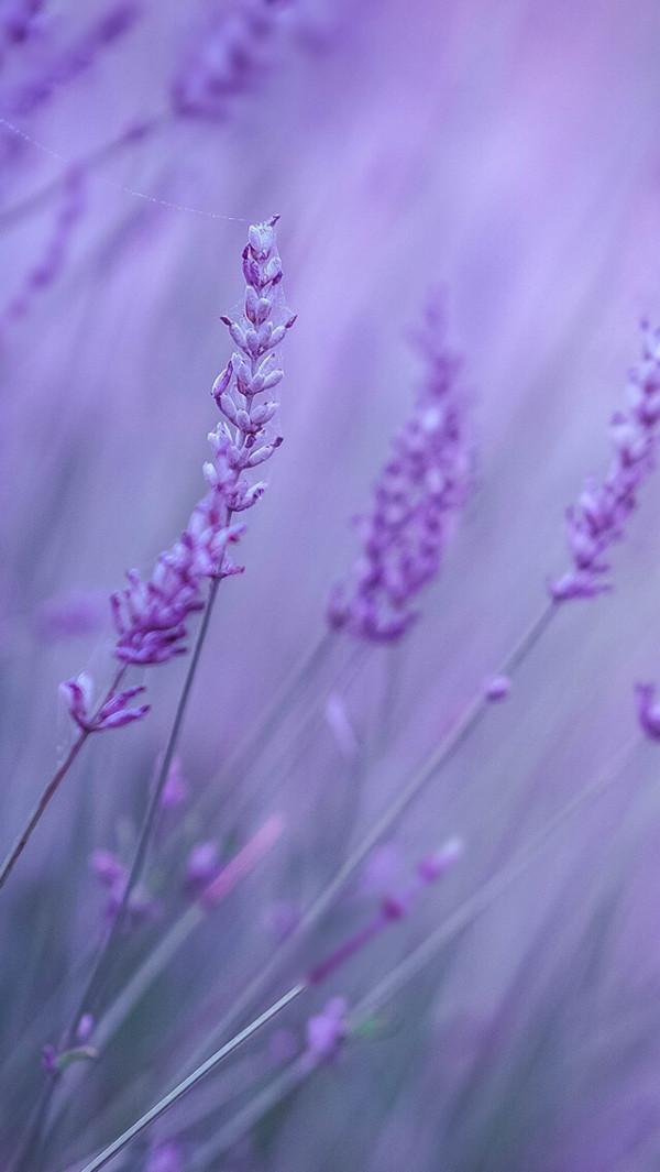 散文:人到中年,欲說還休,天涼好個秋 散文:人到中年,欲說還休,天涼好個秋