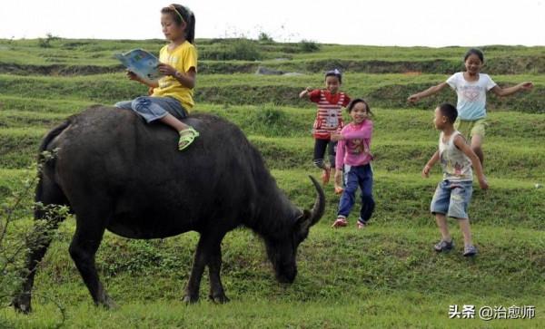 沒在農村生活過，你永遠不知道他們有多苦