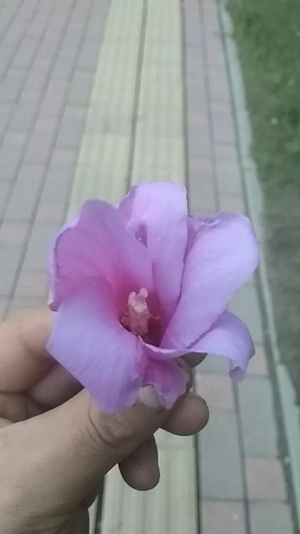 人體是由哪些物質組成的 人體是由哪些物質組成的