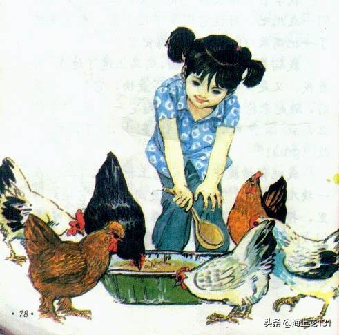 當她賣雞的時候,她在想些什麼 當她賣雞的時候,她在想些什麼